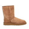 UGG AUSTRALIA W CLASSIC SHORT II 1016223