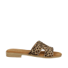 ITSE 6525 LEOPARD