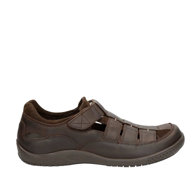 PANAMA JACK VELCRO MERIDIAN BASICS C1 PANAMA JACK VELCRO MERIDIAN BASICS C1